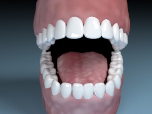 teeth tongue mouth Model 3D