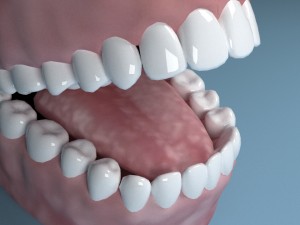 teeth tongue mouth Model 3D
