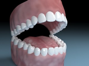teeth tongue mouth Model 3D
