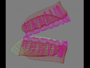 teeth tongue mouth Model 3D