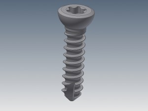 cortical bone screw Modelo 3D