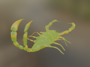 Scorpion 3D Модель