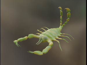 Scorpion 3D Модель