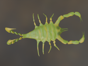 Scorpion 3D Модель
