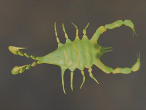 Scorpion 3D Model