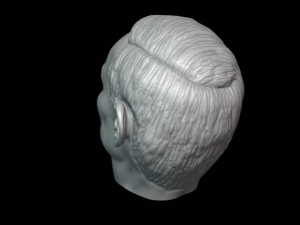 vladimir putin head detailed 3d printable Modello di stampa 3D