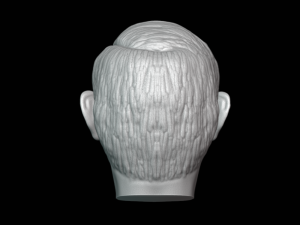 vladimir putin head detailed 3d printable Modello di stampa 3D