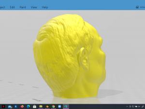 vladimir putin head detailed 3d printable Modello di stampa 3D