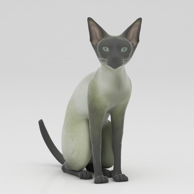 cat 3Dモデル .c4d .max .obj .3ds .fbx .stl .blend 