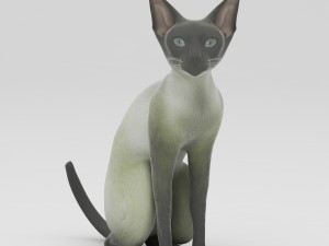 cat 3D Model