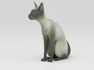 cat 3Dモデル