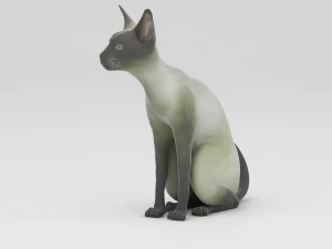 cat 3D Model