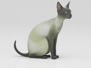 cat 3Dモデル