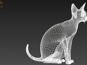 cat 3Dモデル