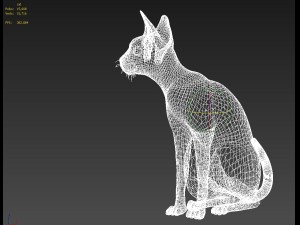 cat 3Dモデル
