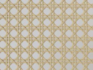 mesh cane webbing 3D 모델