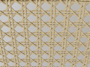 mesh cane webbing Model 3D
