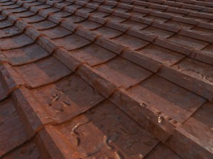 roof Modelo 3D