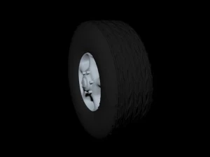 tire 3D Model
