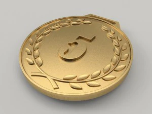 5 years anniversary medal 3D Print Model