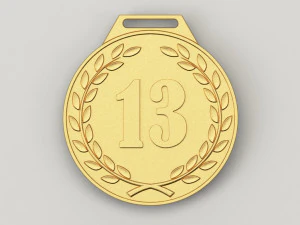 13 years anniversary medal 3D Print Model