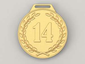 14 years anniversary medal Modelo de impresión 3D