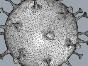 coronavirus covid-19 3D Model