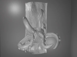 octopus in ocean 3D Print Model