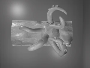 octopus in ocean 3D Print Model