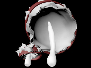 fly agaric family 3D Model