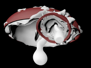 fly agaric family 3D Model