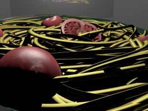 pasta with tomatoes maya 3D Model