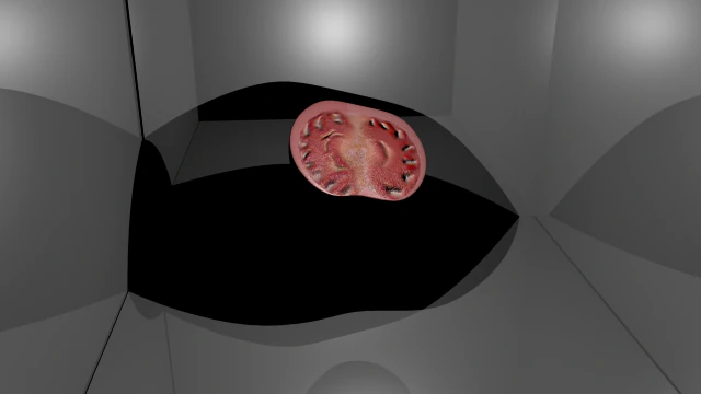 half of tomato model 3D Model .c4d .max .obj .3ds .fbx .stl .blend