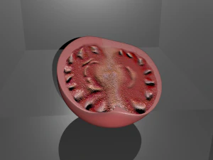 half of tomato model 3D Model