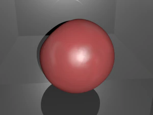 half of tomato model 3D Model