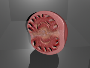 half of tomato model 3D 模型