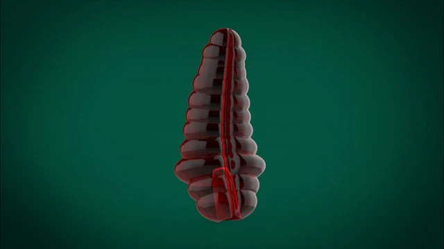cobra reis chocalho brinquedo roleplay impress&atilde;o 3d paus reais com tes&atilde;o Modelo de Impressão 3D .c4d .max .obj .3ds .fbx .stl .blend 