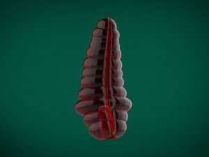 snake kings ratle roleplay toy 3d print horny royal dicks 3D Print Model