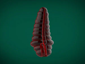 캐릭터 인간의 캐릭터 인간의 모델 인쇄물 장난감 뱀 왕족의 왕족의 딸랑이 역할극 3D 프린트 모델