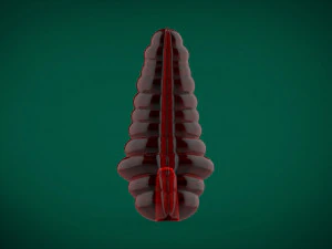 cobra reis chocalho brinquedo roleplay impress&atilde;o 3d paus reais com tes&atilde;o Modelo de Impressão 3D