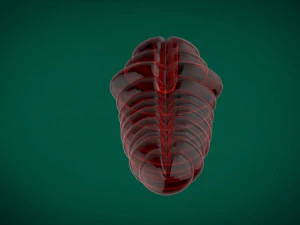 cobra reis chocalho brinquedo roleplay impress&atilde;o 3d paus reais com tes&atilde;o Modelo de Impressão 3D