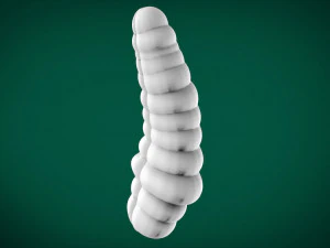 cobra reis chocalho brinquedo roleplay impress&atilde;o 3d paus reais com tes&atilde;o Modelo de Impressão 3D