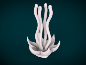 male aphrodite petals flower roleplay toy 3d print 3D प्रिंट मॉडल