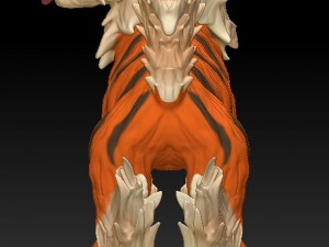 arcamine realistic 3d Modelo de impresión 3D