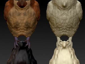 pidgey realistic 3d Modello di stampa 3D