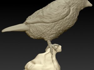 pidgey realistic 3d Modello di stampa 3D