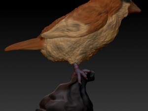 pidgey realistic 3d Modello di stampa 3D