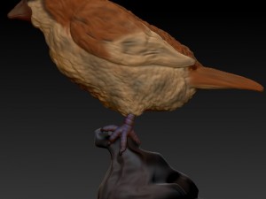pidgey realistic 3d Modello di stampa 3D