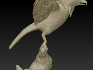 spearrow realistic 3d 3D Print Model