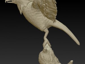 spearrow realistic 3d 3D Print Model
